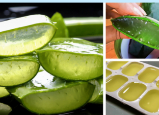 ღმერთის საჩუქარი – მცენარე, რომელიც კურნავს ყველაფერს! ნახეთ რამდენად ჯანსაღი და სასწაულებრივია!