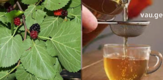 მაღალი წნევა და ქოლესტერინი დიდი ხნის განმავლობაში ჩემი გადაუჭრელი პრობლემა იყო, თუმცა ბოლო ერთი წელია რაც გასაოცარი ნაყენი აღმოვაჩინე და მინდა თქვენც გასწავლოთ.