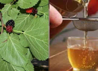 მაღალი წნევა და ქოლესტერინი დიდი ხნის განმავლობაში ჩემი გადაუჭრელი პრობლემა იყო, თუმცა ბოლო ერთი წელია რაც გასაოცარი ნაყენი აღმოვაჩინე და მინდა თქვენც გასწავლოთ.