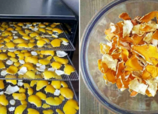 ლიმონის ქერქის გამოყენების 12 გზა – ამის ცოდნა ყველას სჭირდება!