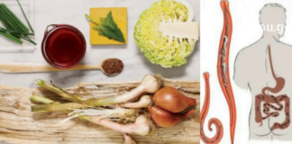 ჭიებისგან თავის დაღწევის მარტივი გზა : კვების რაციონში უნდა შევიდეს დიდი რაოდენობით მწვანილი, ბოსტნეული, რომელსაც აქვს ანტიპარაზიტული მოქმედება.