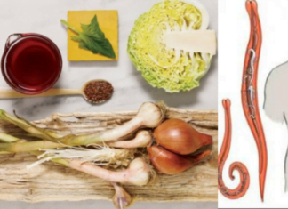 ჭიებისგან თავის დაღწევის მარტივი გზა : კვების რაციონში უნდა შევიდეს დიდი რაოდენობით მწვანილი, ბოსტნეული, რომელსაც აქვს ანტიპარაზიტული მოქმედება.