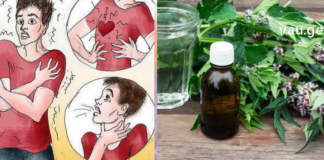 გულის ნევროზის უებარი სამკურნალო საშუალება – ეს ნაყენი მზადდება მხოლოდ მცერეული ნედლეულისგან.