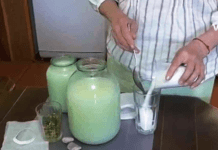 სახლში მომზადებული შრატი, რომელიც ეფექტურია სისხლძარღვების გასაწმენდად და ხელების დაბუჟების სამკურნალოდ!