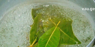 წინაპრების სიბრძნე ჯანმრთელობის დაცვის შესახებ! : დაფნისა და ზეითუნის ზეთის კომბინაცია ვარიკოზის და კიდევ ბევრი დაავადების მტერია!