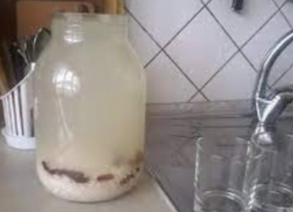 ოსტეოქონდროზის ფონზე დედაჩემს საშინელი ტკივილები ტანჯავდა, სწორედ მაშინ წავაწყდი ამ უნიკალურ საშუალებას.