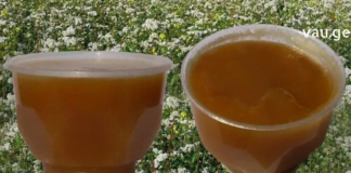 იცოდით რომ წიწიბურა ბევრი დაავადების მტერია? დაამატეთ თქვენი კვების რაციონს წიწიბურა და იზრუნეთ თქვენს ჯანმრთელობაზე.