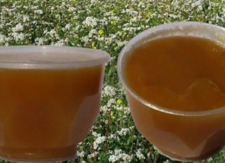 იცოდით რომ წიწიბურა ბევრი დაავადების მტერია? დაამატეთ თქვენი კვების რაციონს წიწიბურა და იზრუნეთ თქვენს ჯანმრთელობაზე.