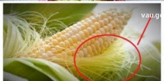 დროში გამოცდილი საუკეთესო რეცეპტი კენჭის გავლის დროს – საკუთარ თავზე გამოვცადე.