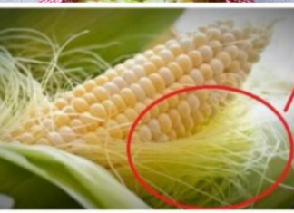 დროში გამოცდილი საუკეთესო რეცეპტი კენჭის გავლის დროს – საკუთარ თავზე გამოვცადე.