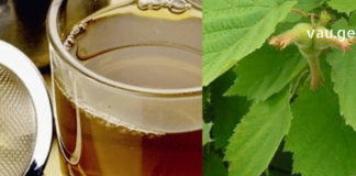 სამყაროში შეგიძლიათ იპოვოთ ბევრი ბუნებრივი საშუალება, რომელიც დაგეხმარებათ გათავისუფლდეთ ჯანმრთელობის მრავალი პრობლემისგან. : ერთ-ერთი ასეთი ნაყენია ეს!