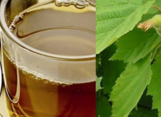 სამყაროში შეგიძლიათ იპოვოთ ბევრი ბუნებრივი საშუალება, რომელიც დაგეხმარებათ გათავისუფლდეთ ჯანმრთელობის მრავალი პრობლემისგან. : ერთ-ერთი ასეთი ნაყენია ეს!