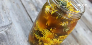 დეპრესიული მდგომარეობის, ნერვული სისტემის გამოფიტვის, ასთენიისა და ნერვული წარმოშობის სისუსტის დროს სვით ეს მცენარეული ნახარშები!