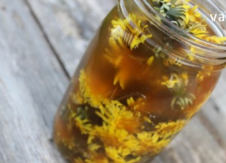 დეპრესიული მდგომარეობის, ნერვული სისტემის გამოფიტვის, ასთენიისა და ნერვული წარმოშობის სისუსტის დროს სვით ეს მცენარეული ნახარშები!