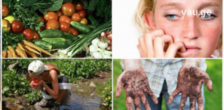 ჩემმა დამ ამ პროდუქტების დახმარებით დააღწია ჭიებს თავი!