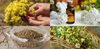 თირკმელების, სისხლისა და სისხლძარღვების წმენდის ყველაზე ეფექტური რეცეპტები ხალხური მედიცინისგან !