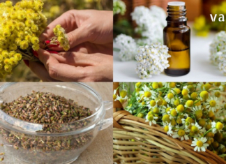 თირკმელების, სისხლისა და სისხლძარღვების წმენდის ყველაზე ეფექტური რეცეპტები ხალხური მედიცინისგან !