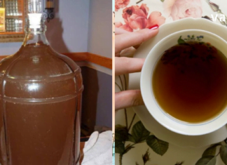 მინდა გიამბოთ, როგორ მოვირჩინე სახლში საშვილოსნოს ფიბრომა. ექიმები ოპერაციას მირჩევდნენ, მაგრამ არ დავთანხმდი, დავიწყე ბალახებით მკურნალობა და განვიკურნე კიდეც.