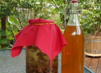 სიახლძარღვების გასაწმენდად მართლაც ღირს ძმარში დაალბოთ ქიშმიში – განმაცვიფრებელი სიახლე ყველასთვის!