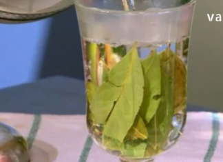 დაფნის ფოთლების ნახარში წარმატებით გამოიყენება ზოგიერთი დაავადების სამკურნალოდ.