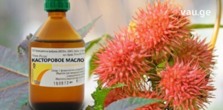 ხალხურ მედიცინაში მას საპატიო ადგილი უჭირავს -უნივერსალური და შეუცვლელი აბუსალათინის ზეთი, რომელიც ბევრი პრობლების საუკეთესო მშველელია…