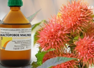 ხალხურ მედიცინაში მას საპატიო ადგილი უჭირავს -უნივერსალური და შეუცვლელი აბუსალათინის ზეთი, რომელიც ბევრი პრობლების საუკეთესო მშველელია…