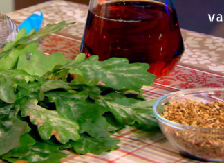 უკვე შუა ხანს მივაღწიე და ძალიან შემაწუხა ვენებმა. გაგიზიარებთ ჩემს მეთოდს როგორ ვმკურნალობ გაგანიერებულ ვენებს…