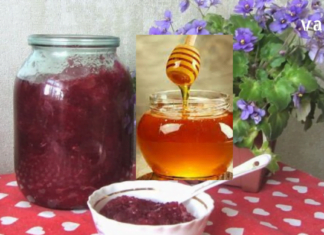 ჩინური ლიმონურა თაფლით – შოკისმომგვრელი წამალი: მისი ეფექტი იზრდება, როცა მას სამკურნალო მცენარეებთან ერთად იყენებენ!