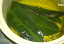 დაფნის ზეთი და ნაყენი უებარია წამალია ართრიტის, რევმატიზმის, ართროზის, ჰაიმორიტის და კუნთების ტკივილის დროს.