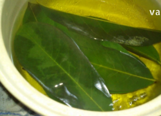 დაფნის ზეთი და ნაყენი უებარია წამალია ართრიტის, რევმატიზმის, ართროზის, ჰაიმორიტის და კუნთების ტკივილის დროს.