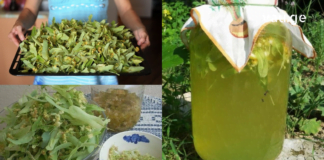 ამ ქალბატონმა ცაცხვის ჩაის დახმარებით დაამარცხა თირკმელების პრობლემა და ჰიპერტონული დაავადებები. მისი მომზადება მარტივია..