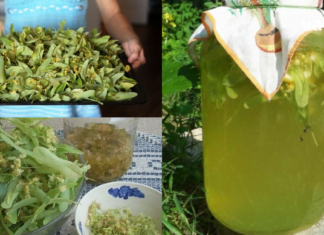 ამ ქალბატონმა ცაცხვის ჩაის დახმარებით დაამარცხა თირკმელების პრობლემა და ჰიპერტონული დაავადებები. მისი მომზადება მარტივია..