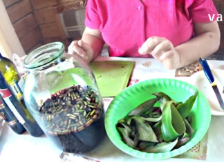 გათხოვების შემდეგ საკვერცხეების პრობლემები დამეწყო, ბევრი მკურნალობის შემდეგ მივადეგი ხალხურ რეცეპტებს და თავს უკვე მშვენივრად ვგრძნობ.