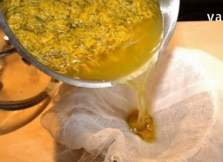 გვირილა : მცენარე რომელიც სასწაულებს ახდენს – აძლიერებს ზურგის ტვინის რეფლექტორულ მოქმედებას, აჩქარებს სუნთქვას და გულის რიტმს, აფართოებს ტვინის სისხლძარღვებს.