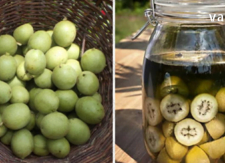 უებარი წამალი მწვანე კაკალისგან: აუმჯობესებს მხედველობას, აჯანსაღებს სახსრებს და ფარისებრი ჯირკვალს