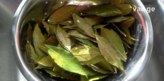 დაფნა ყოველთვის გიშველით : სამკურნალო რეცეპტები, რომელთა მომზადების შემდეგ მადლიერი იქნებით