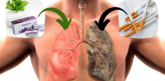 ეს ის 10 ცვლილებაა თქვენს ორგანიზმში, რომლის წაკითხვის შემდეგ სიგარეტს თავს დაანებებთ!