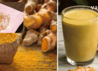 ამ სამკურნალო საშუალების ძირითადი ინგრედიენტი არის კოჭა, რომელიც ფილტვებიდან გამოდევნის ლორწოს.