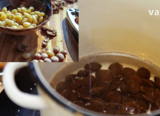 როგორც იქნა დადგა ზაფხული და ყველაზე კარგი შესაძლებლობაა გამოიყენოთ გარგარის კურკა. ნახეთ რისთვისაა სასარგებლო