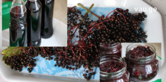 შაქრიანი დიაბეტის და ბევრი სხვა დაავადების სამკურნალოდ ანწლის ნაყენი შეუცვლელია! ყველაზე ეფექტური ბუნებრივი სამკურნალო საშუალება