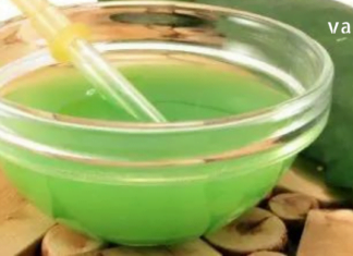 ამის ცოდნა ყველას გამოგადგებათ : თურმე კალანჰოე ვენების ვარიკოზულ გაგანიერებას შველის