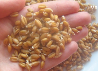 წამალი, რომელიც არაჩვეულებრივად მუშაობს! მიიღეთ ეს 6 თვეში ერთხელ და არასოდეს გახდებით ავად!