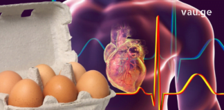 დაიწყეთ დილა ორი კვერცხის მირთმევით და ეს 9 ცვლილება მოხდება თქვენს სხეულში! ძალიან სასარგებლო პროდუქტი!