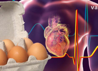 დაიწყეთ დილა ორი კვერცხის მირთმევით და ეს 9 ცვლილება მოხდება თქვენს სხეულში! ძალიან სასარგებლო პროდუქტი!