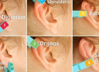 იცით რა მოხდება, თუ თქვენ ყურის სხვადასხვა ადგილას სარეცხის სამაგრს 1 წუთით დაიმაგრებთ? ასეთ რამეს ვერ წარმოვიდგენდი!