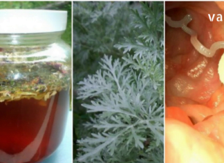 მოამზადეთ სახლში ეს უნიკალური წამალი და მომდევნო 10 წლის განმავლობაში პარაზიტები აღარ შეგაწუხებთ !