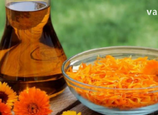 კალენდულას ყვავილების გამაგნებელი თვისებები : მისი ექსტრაქტი შედის 200 -ზე მეტ მედიკამენტში!