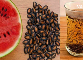 გულზე ადრეული ასაკიდან იზრუნეთ-ამაში საზამთრო დაგეხმარებათ