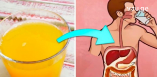 Რეგულარულად დალიეთ ეს სასმელი იმისათვის, რომ გული ყოველთვის ჯანმრთელი იყოს და ტვინი აქტიური.