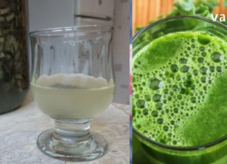 ამ მცენარეების წყალობით ვიმკურნალე კისტაზე სახლის პირობებში – შედეგი ძალიან მალე მქონდა..